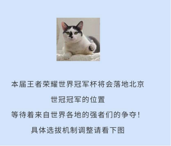 宝坻区王者荣耀电竞嘉年华精彩回顾